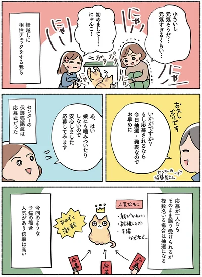  『ねこ活はじめました かわいい! 愛しい! だから知っておきたい保護猫のトリセツ』より