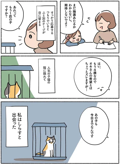  『ねこ活はじめました かわいい! 愛しい! だから知っておきたい保護猫のトリセツ』より