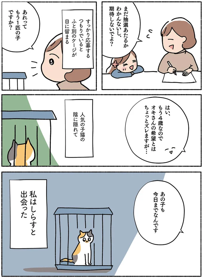 『ねこ活はじめました かわいい! 愛しい! だから知っておきたい保護猫のトリセツ』より
