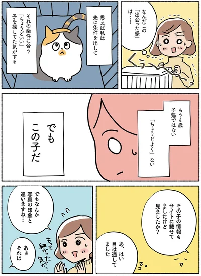  『ねこ活はじめました かわいい! 愛しい! だから知っておきたい保護猫のトリセツ』より
