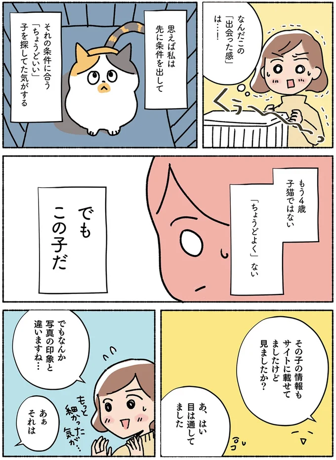 『ねこ活はじめました かわいい! 愛しい! だから知っておきたい保護猫のトリセツ』より