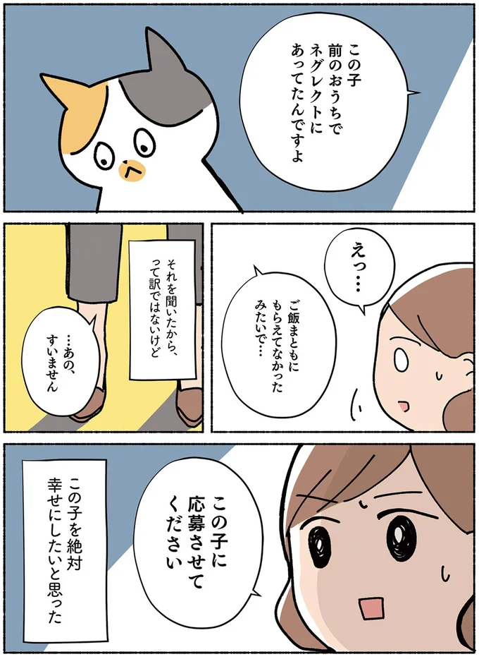 『ねこ活はじめました かわいい! 愛しい! だから知っておきたい保護猫のトリセツ』より