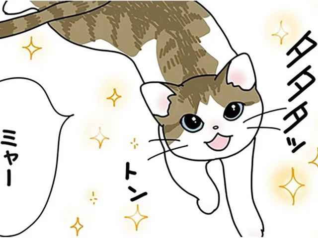 「あああ、かわいい！」保護した子猫に、初対面で心を丸ごと奪われて／世界一幸せな飼い主にしてくれた猫（2）