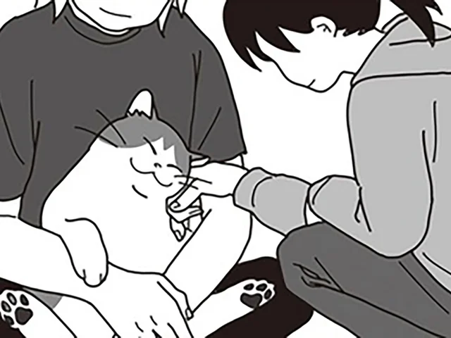 夫婦の縁をつないでくれた愛猫。結婚式の準備でも、大活躍でした／世界一幸せな飼い主にしてくれた猫（3）