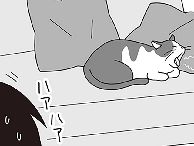 「週末、病院へ」そう決めた日。仕事中もずっと、胸騒ぎが消えなかった／世界一幸せな飼い主にしてくれた猫（5）