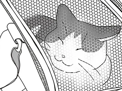 愛猫の「病名」は…