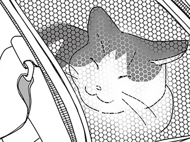 愛猫を診察した医師が、ため息の後に告げた「病名」。飼い主は涙をこらえきれず／世界一幸せな飼い主にしてくれた猫（7）