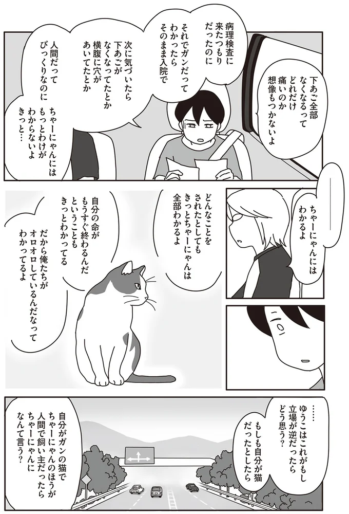ちゃーにゃんにはわかるよ