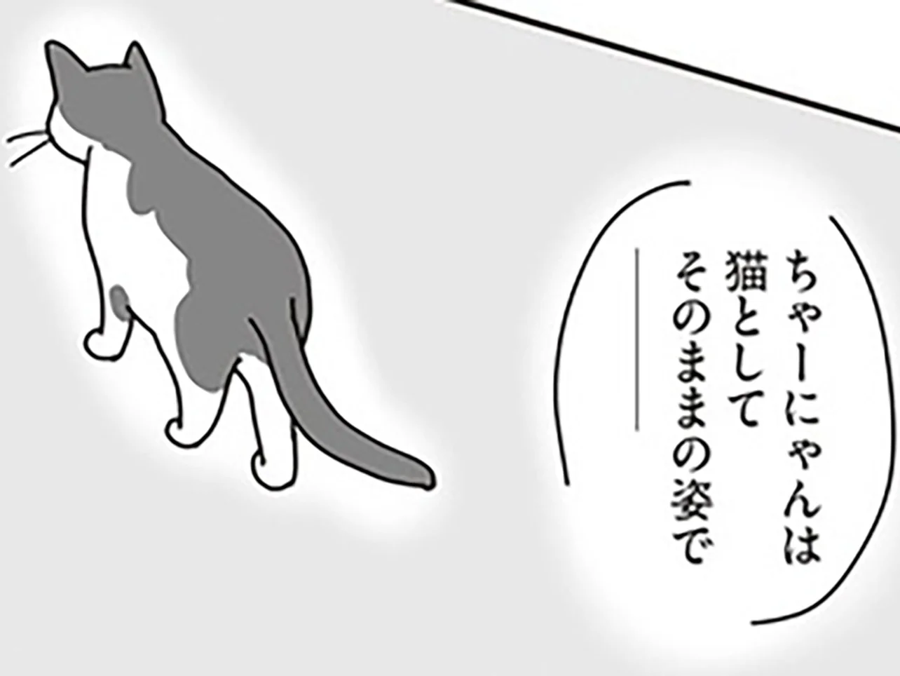 世界一幸せな飼い主にしてくれた猫 - レタスクラブ