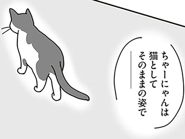 悪化していく愛猫の病状。ただ祈り続けることしかできなくて…／世界一幸せな飼い主にしてくれた猫（10）