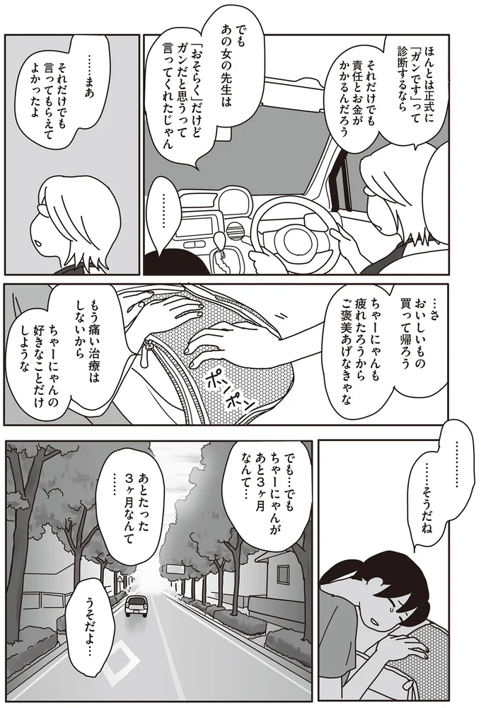 ちゃーにゃんの好きなことだけしような