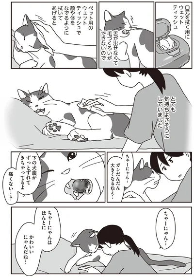 ちゃーにゃんはほんとに　かわいいにゃんだね…