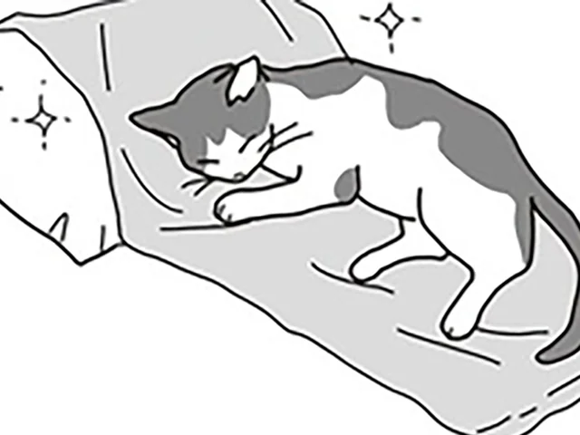 すべては、余命3ヶ月の愛猫のため。夫婦で始めた自宅での看病／世界一幸せな飼い主にしてくれた猫（14）