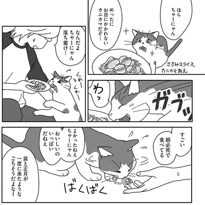 大好きなものを腹いっぱい　食べたいだけ食べたらいいんだよ