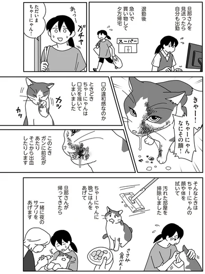 きゃー！ちゃーにゃん　なにその顔！