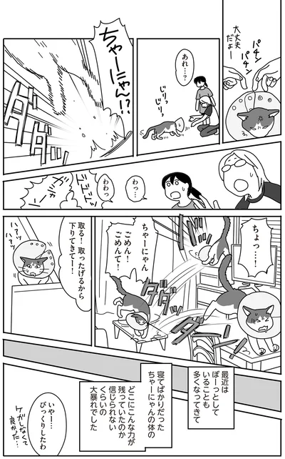 ごめん！ごめんて！