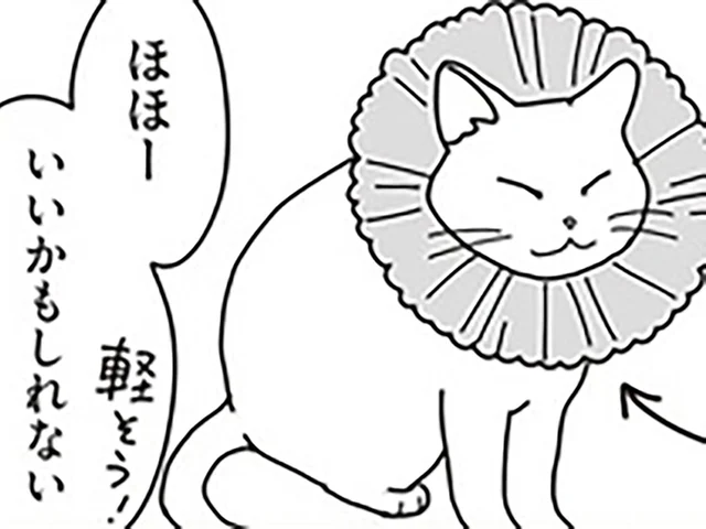 朝5時に起きて始まる看病。自作のカラーで、愛猫を少しでも快適に／世界一幸せな飼い主にしてくれた猫（16）