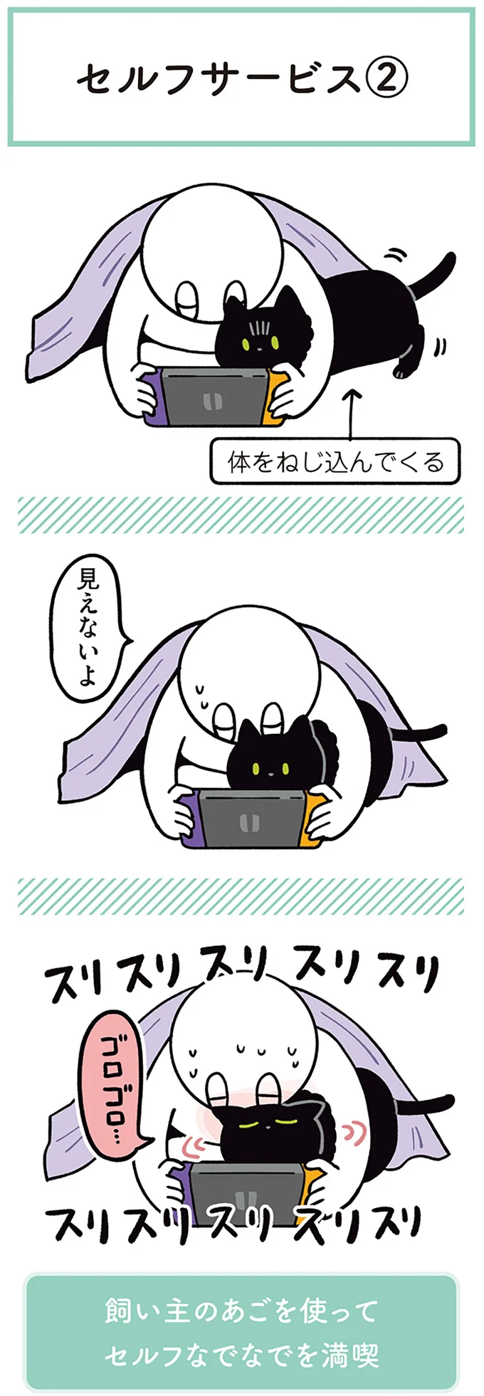 『黒猫ろんと暮らしたら２』より