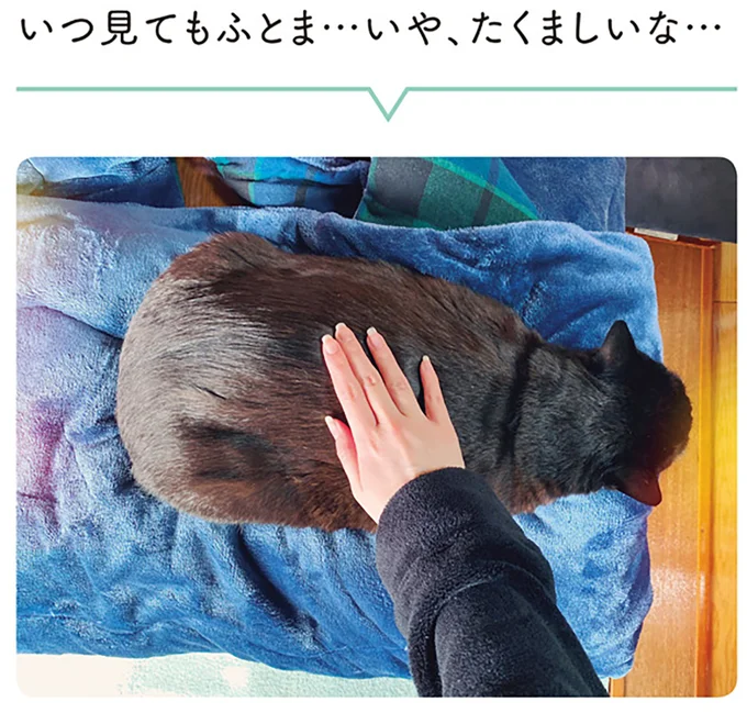 『黒猫ろんと暮らしたら２』より