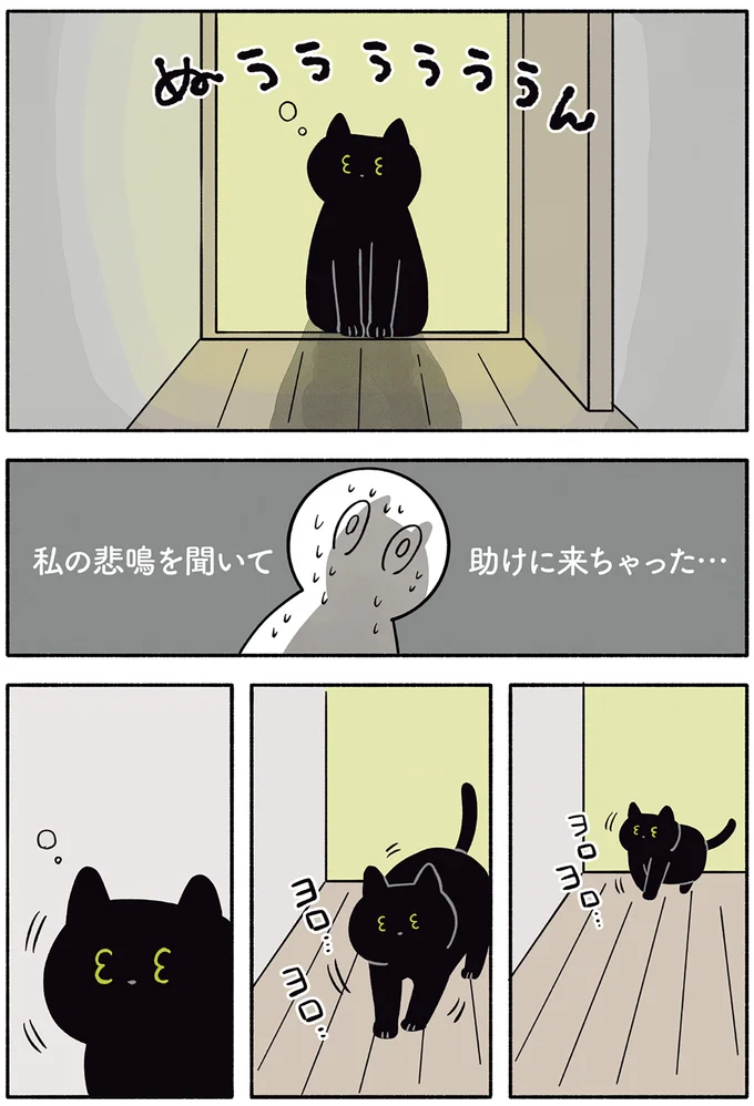 『黒猫ろんと暮らしたら２』より