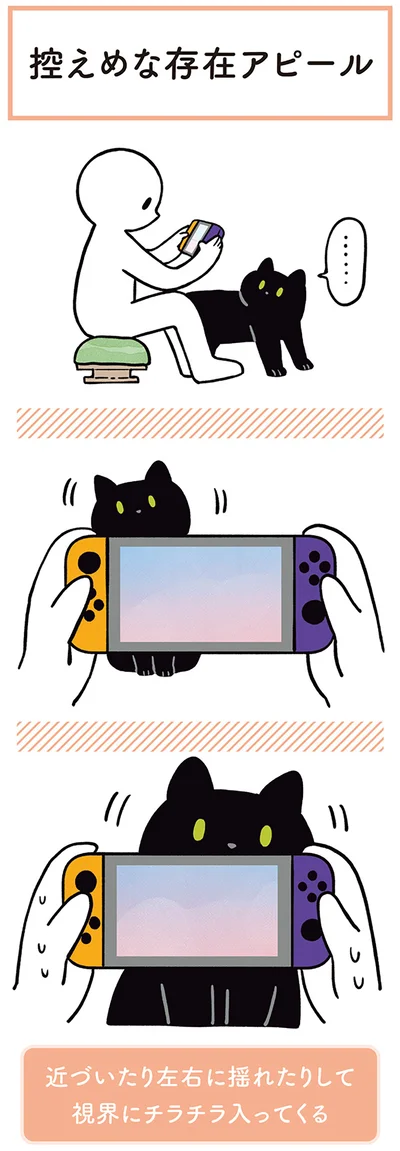 『黒猫ろんと暮らしたら２』より