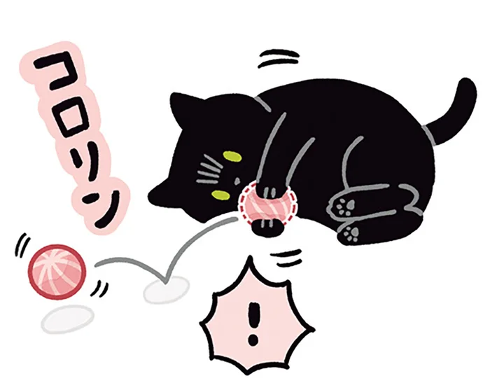 動きたくない…でも遊びたい！黒猫ろんのぐ〜たらねこじゃらし