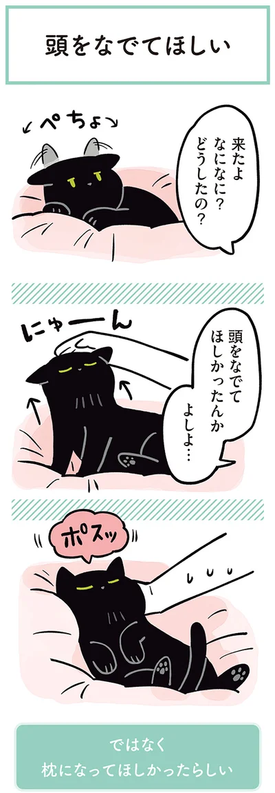頭をなでてほしかったんか