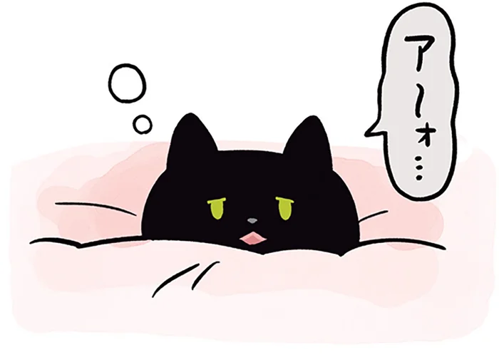 「アーォ……」ねむそうな声で飼い主を呼ぶ、寝起きの黒猫ろん