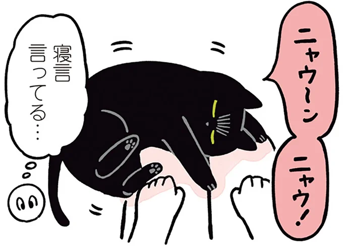 寝言言ってる…