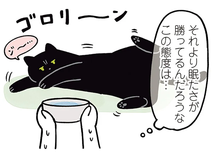 「自分で飲んでほしい…！」眠たい黒猫ろんの水分補給