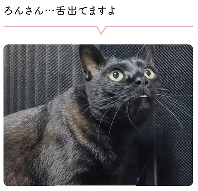 舌出てますよ