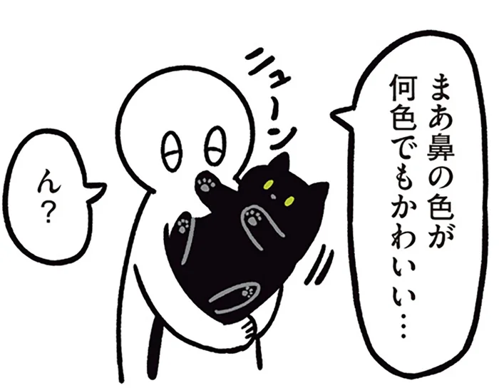 えっ、肉球も黒いの!? 猫初心者が知った黒猫ろんの魅力
