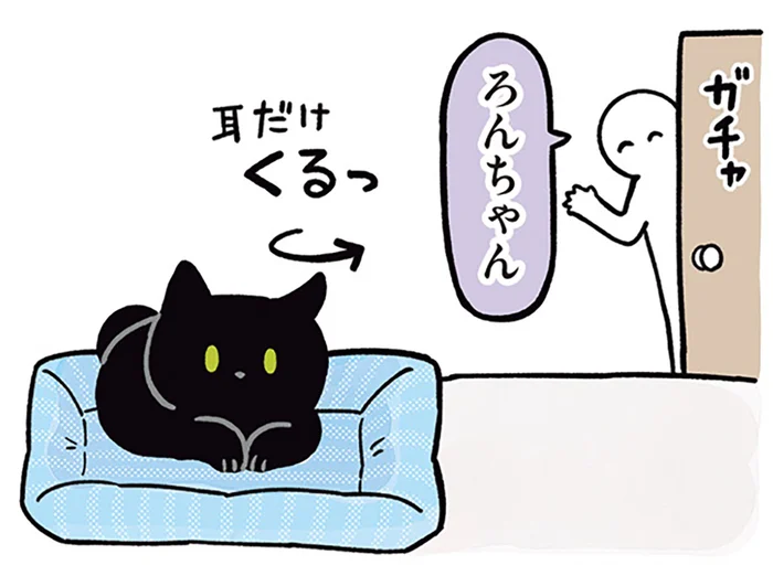 呼んだのに無視！それでもうれしい飼い主と、気まぐれな黒猫ろん