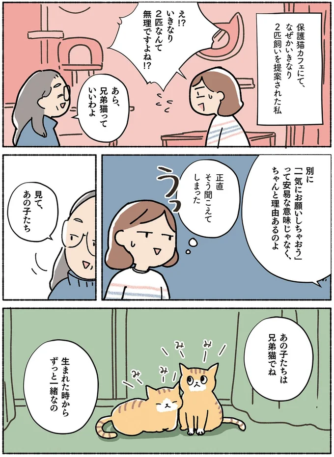 兄弟猫っていいわよ