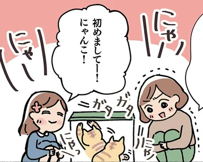 希望通りの子猫に浮き足立つ家族。でも里親応募寸前に、4歳の成猫が目に留まって