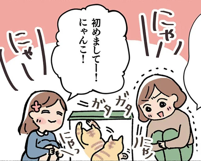 希望通りの子猫に浮き足立つ家族。でも里親応募寸前に、4歳の成猫が目に留まって／ねこ活はじめました（8）