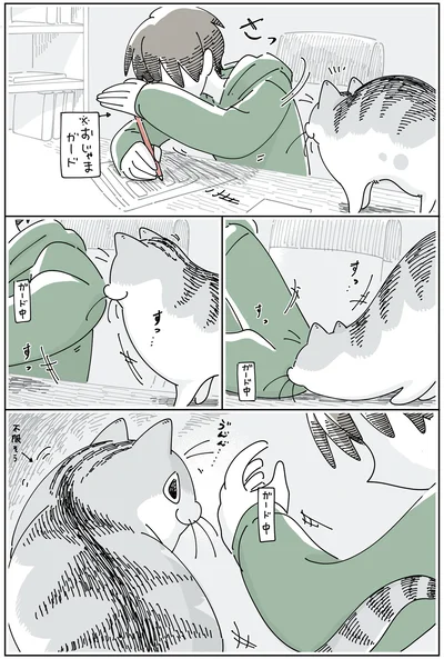おじゃまガード