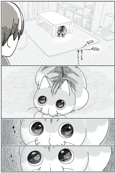 『夜は猫といっしょ6』より