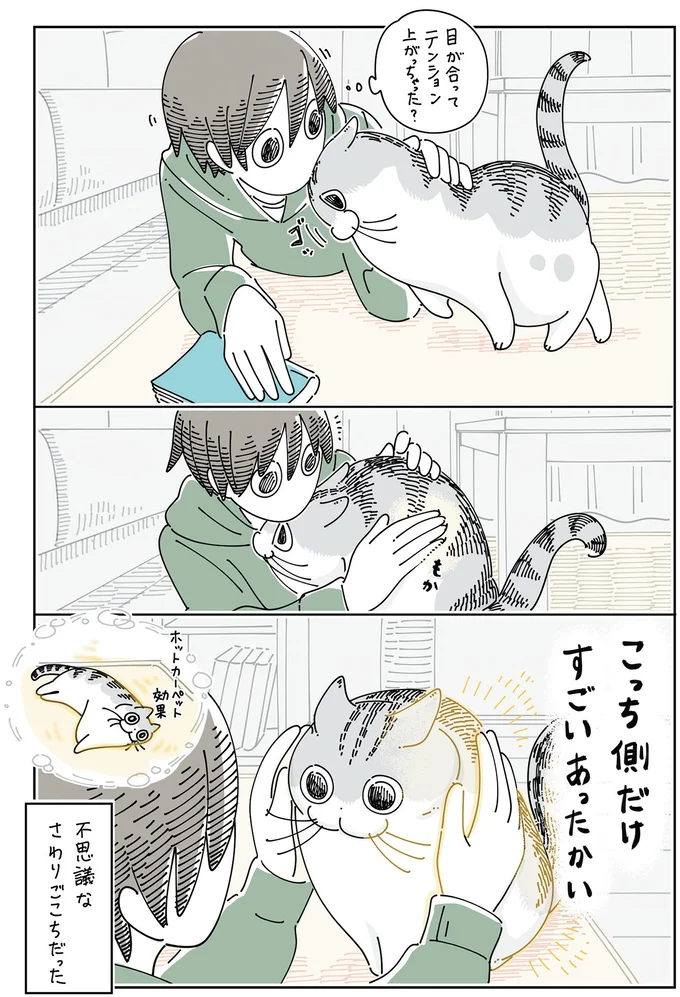 『夜は猫といっしょ6』より