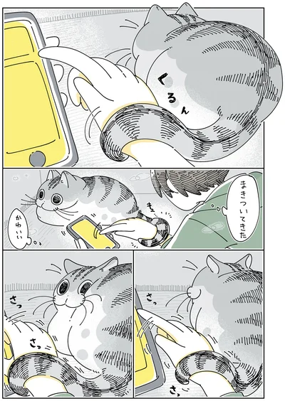『夜は猫といっしょ6』より