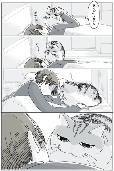 『夜は猫といっしょ6』より
