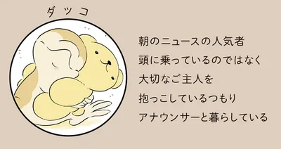 ダッコ