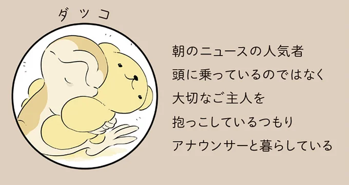 ダッコ