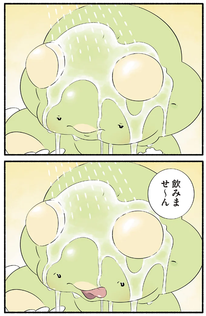 飲みませ~ん
