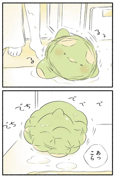 あっこら