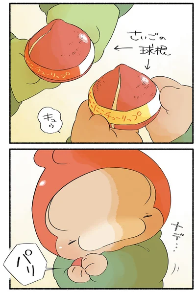 『恐竜はじめました5』より