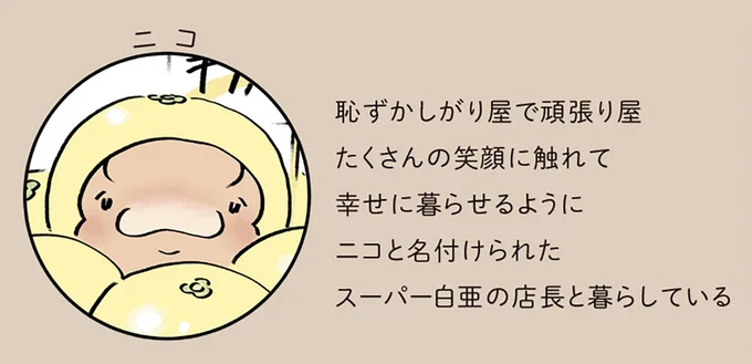 ニコ