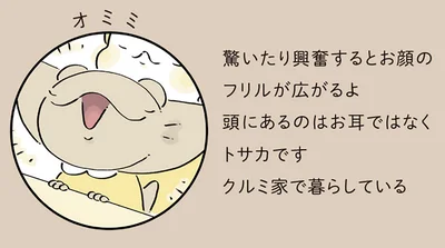 オミミ