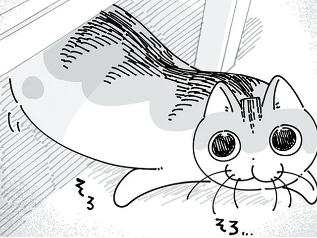 突然の大きな音！ 駆けつけると、猫の目がめちゃくちゃ泳いでいて