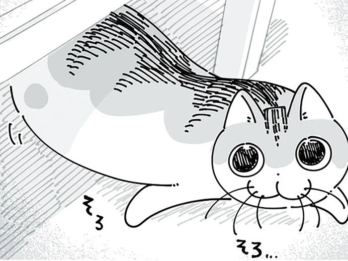 突然の大きな音！ 駆けつけると、猫の目がめちゃくちゃ泳いでいて